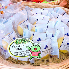 画像をギャラリービューアに読み込む, ブルーベリーな気分【セット有】